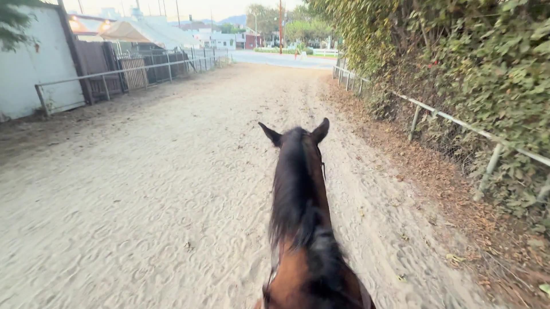 Point-of-view from horseback riding down a sandy trail